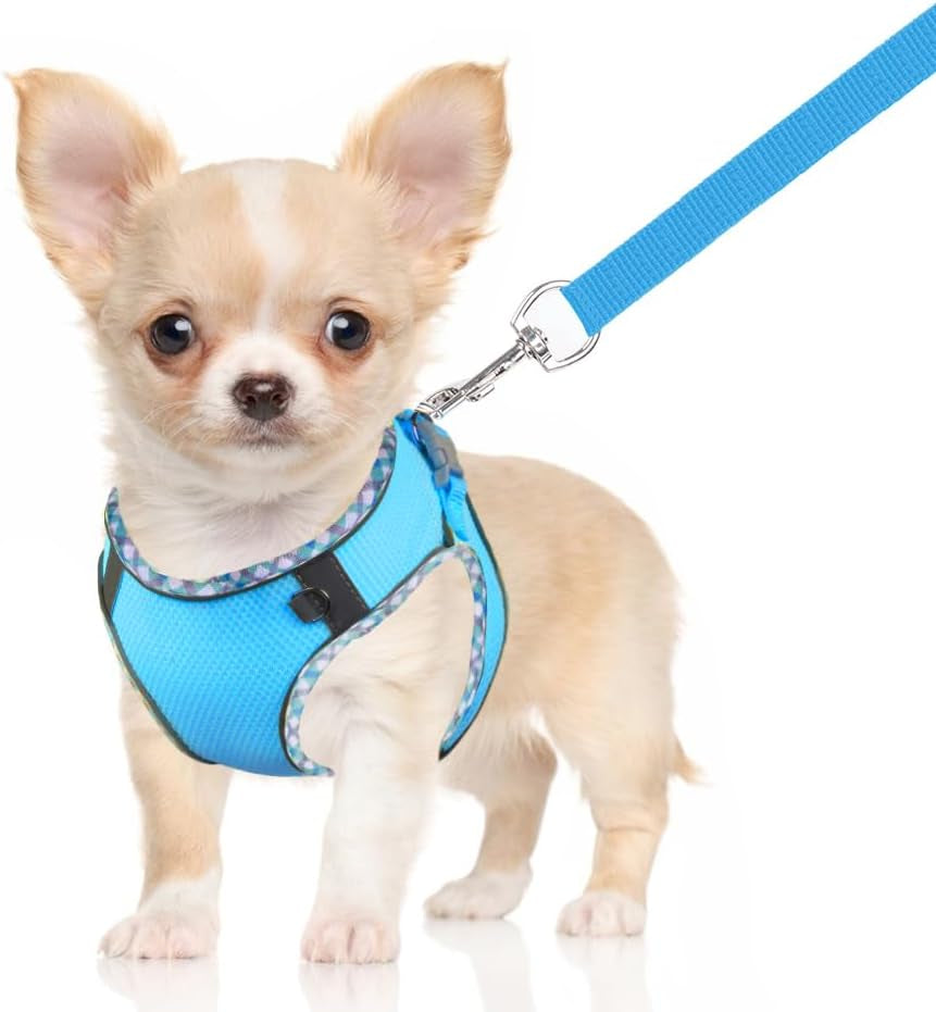 Dog Harness and Leash Set, No-Pull Adjustable Step in Puppy Vest
