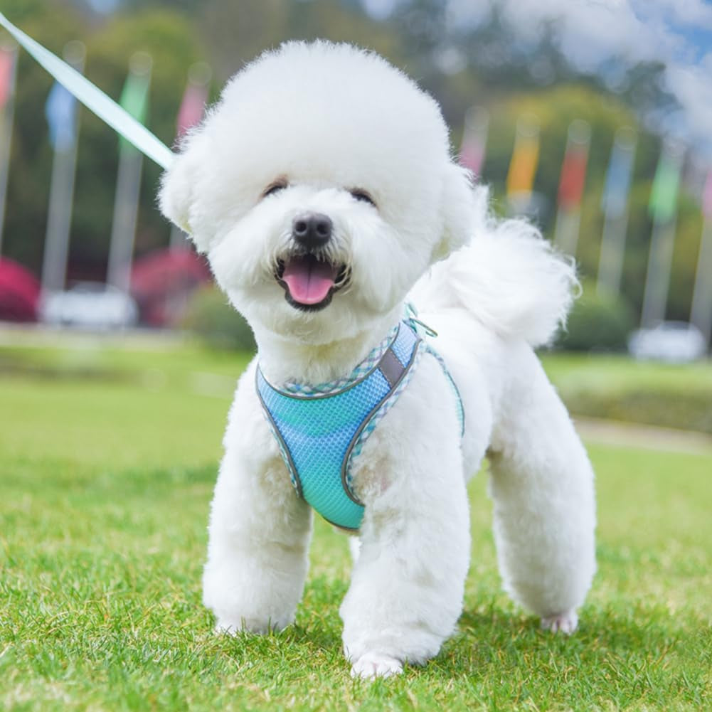 Dog Harness and Leash Set, No-Pull Adjustable Step in Puppy Vest