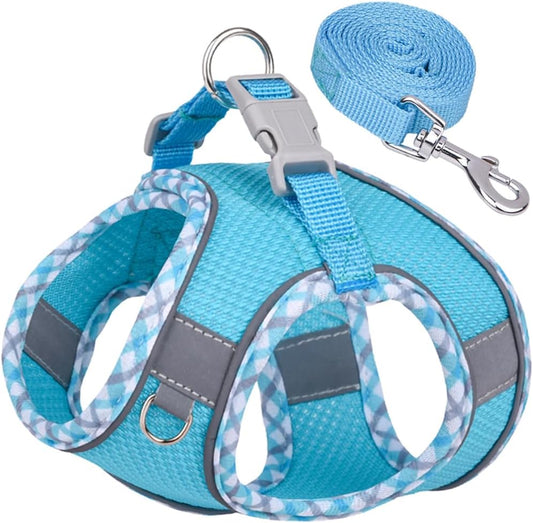 Dog Harness and Leash Set, No-Pull Adjustable Step in Puppy Vest