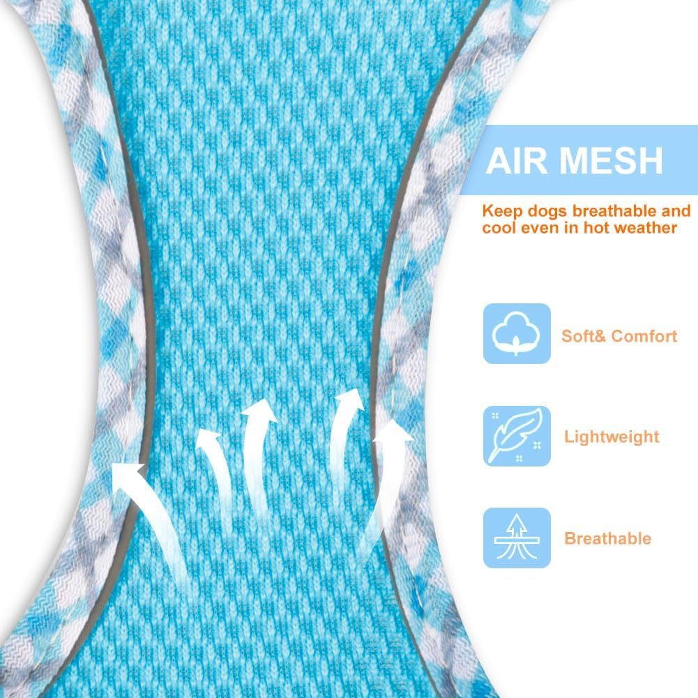 Dog Harness and Leash Set, No-Pull Adjustable Step in Puppy Vest