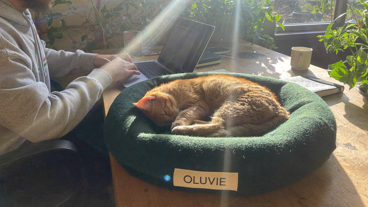 A cozy spot by your side