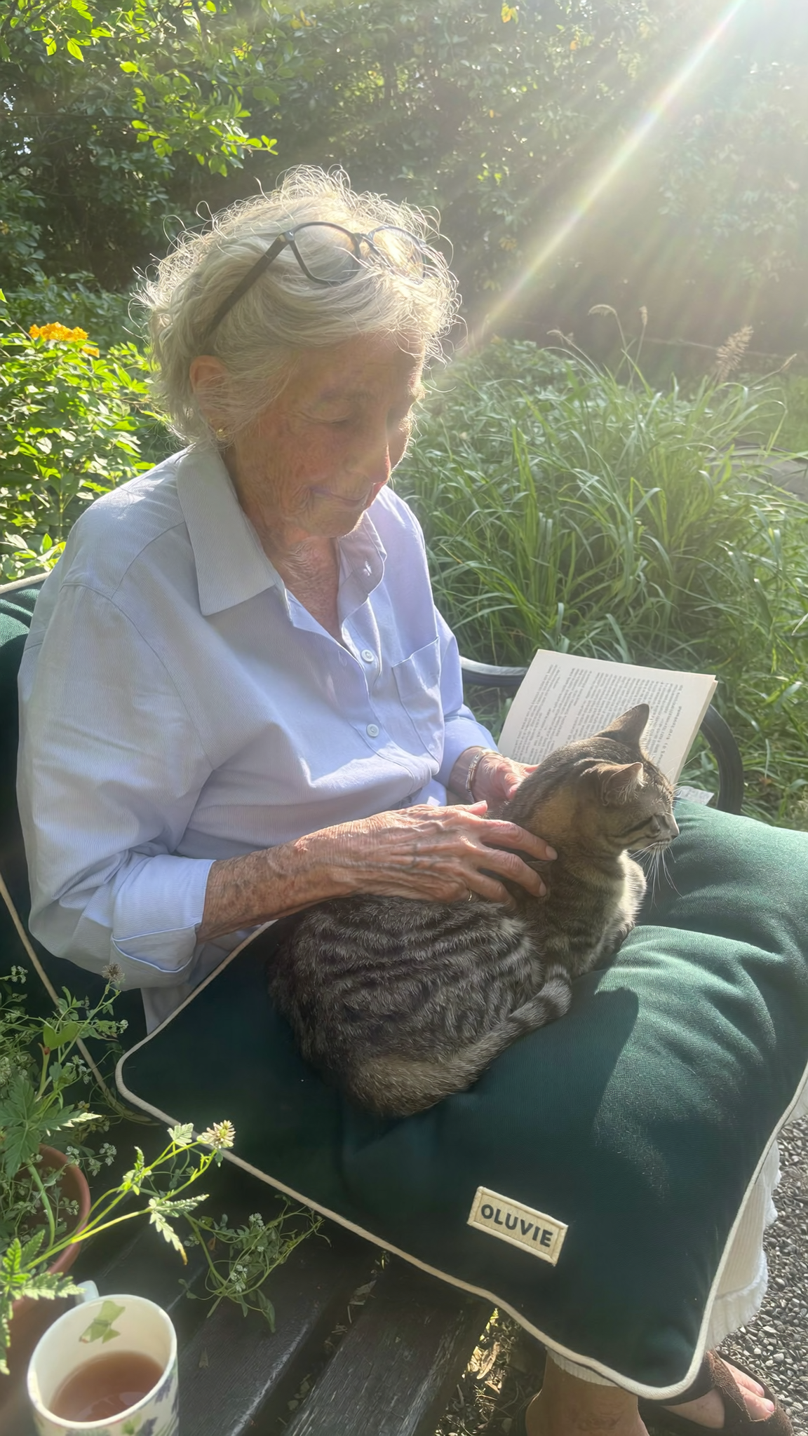 Slow afternoons, soft cushions